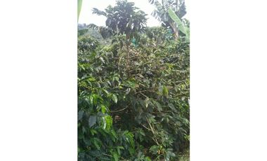 Se vende espectacular finca en Filandia