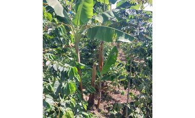 Se vende espectacular finca en Filandia
