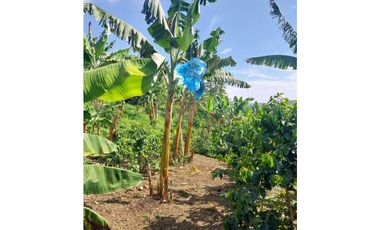 Se vende espectacular finca en Filandia