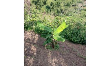 Se vende espectacular finca en Filandia