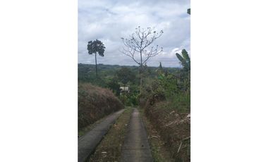 Se vende espectacular finca en Filandia
