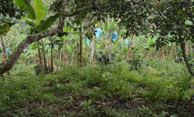 Se vende espectacular finca en Filandia