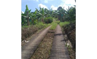 Se vende espectacular finca en Filandia