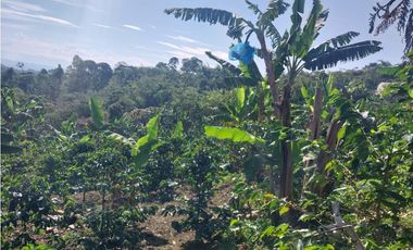 Se vende espectacular finca en Filandia