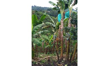 Se vende espectacular finca en Filandia