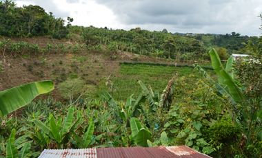 Se vende espectacular finca en Filandia