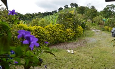 Se vende espectacular finca en Filandia