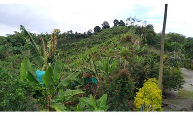Se vende espectacular finca en Filandia