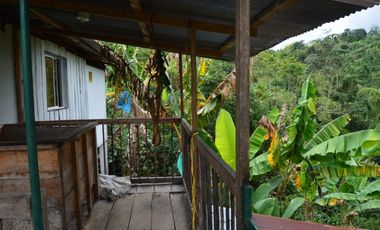 Se vende espectacular finca en Filandia