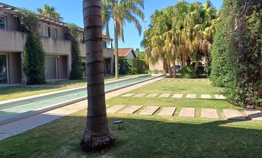 Palmas de Rocha , oficina, San isidro