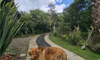 CASA FINCA EN ARRIENDO RIONEGRO ANTIOQUIA; SECTOR OJO DE AGUA