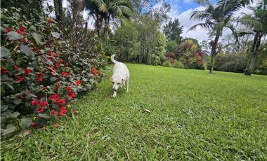 CASA FINCA EN ARRIENDO RIONEGRO ANTIOQUIA; SECTOR OJO DE AGUA