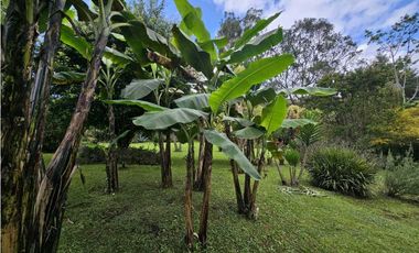 CASA FINCA EN ARRIENDO RIONEGRO ANTIOQUIA; SECTOR OJO DE AGUA