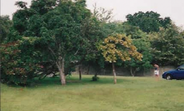 SAN CARLOS / PUNTA BARCO / 2,423 M2 / 2 HABITACIONES / AMPLIO JARDIN