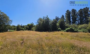 Parcela en Venta en A 100 metros del camino Panitao