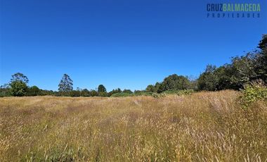 Parcela en Venta en A 100 metros del camino Panitao