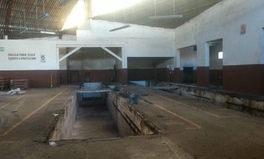 VENTA DE BODEGA LANERA NACIONAL