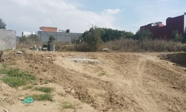 TERRENO EN RENTA