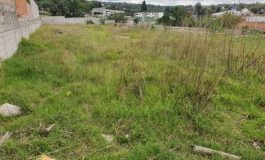 TERRENO EN VENTA O RENTA