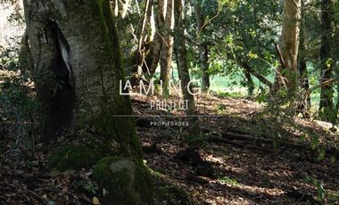Sitio en Venta en Panguipulli