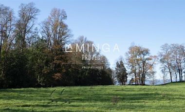 Sitio en Venta en Panguipulli