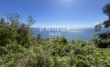 Sitio en Venta en Puerto Varas - Niklitschek