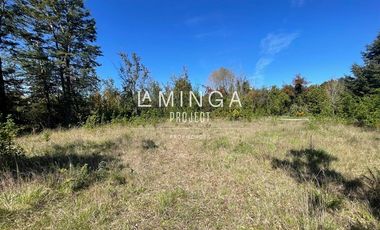 Sitio en Venta en Puerto Varas - Niklitschek