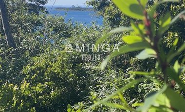 Sitio en Venta en Puerto Varas - Niklitschek