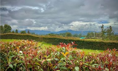 Venta Lote 100% Plano y Vista Parcelacion Via San Antonio La Ceja