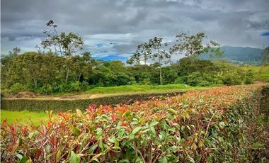 Venta Lote 100% Plano y Vista Parcelacion Via San Antonio La Ceja