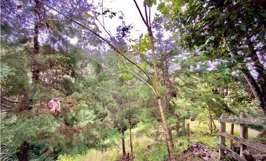 Venta Casa Permite Cultivos y Pesebreras Parcelacion La Ceja