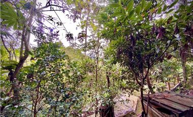 Venta Casa Permite Cultivos y Pesebreras Parcelacion La Ceja