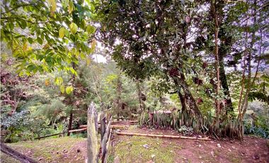 Venta Casa Permite Cultivos y Pesebreras Parcelacion La Ceja
