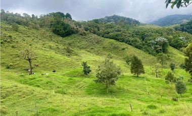 FINCA EN VENTA, GENOVA QUINDIO