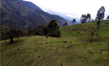 FINCA EN VENTA, GENOVA QUINDIO