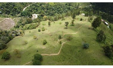 FINCA EN VENTA, GENOVA QUINDIO