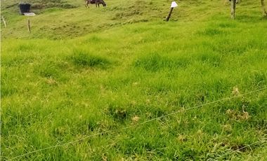 FINCA EN VENTA, GENOVA QUINDIO