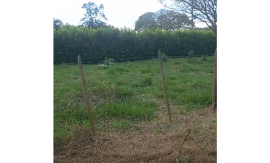 LOTE ESQUINERO EN VENTA, APIAY, VIA PUERTO LOPEZ