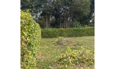 LOTE EN VENTA, APIAY, VIA PUERTO LOPEZ