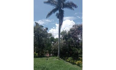 VENDO LOTE # 31 CONJUNTO EL LAGUITO - MONIQUIR - OPORTUNIDAD