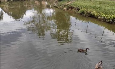 VENDO LOTE # 31 CONJUNTO EL LAGUITO - MONIQUIR - OPORTUNIDAD