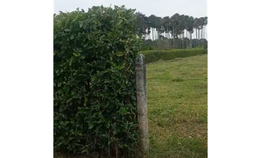 LOTE DE 2.500 M2 EN VENTA, APIAY, VIA PUERTO LOPEZ