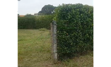 LOTE DE 2.500 M2 EN VENTA, APIAY, VIA PUERTO LOPEZ