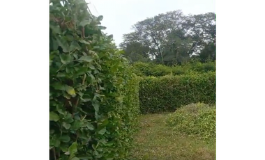 LOTE DE 2.500 M2 EN VENTA, APIAY, VIA PUERTO LOPEZ