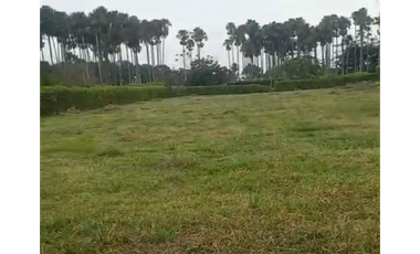 LOTE DE 2.500 M2 EN VENTA, APIAY, VIA PUERTO LOPEZ