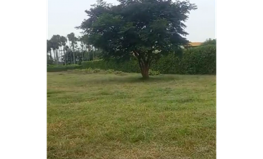 LOTE DE 2.500 M2 EN VENTA, APIAY, VIA PUERTO LOPEZ