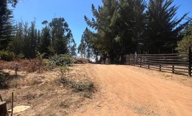 Terreno Condominio Quebrada Verde Tuman , Puertecillo