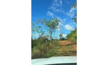 Pequeña finca a la venta