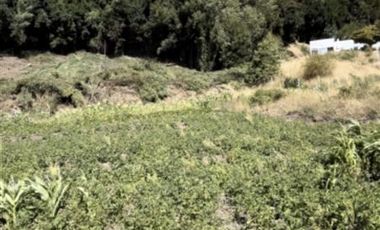 Sitio en Venta en Camino Arauco a LLico