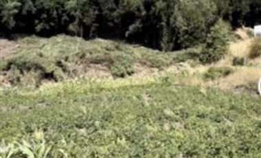 Sitio en Venta en Camino Arauco a LLico